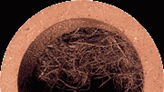 The Advantages of Professional Repiping with AAA AUGER Plumbing Services