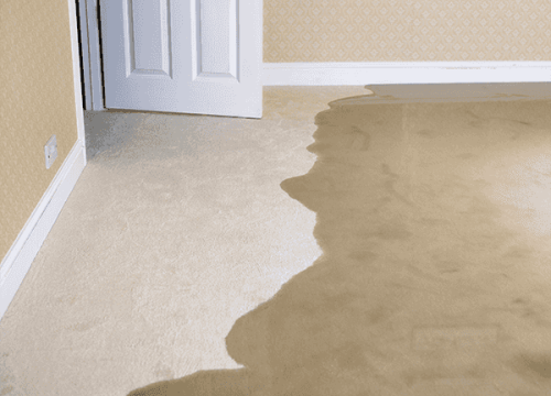Water Leak Detection in DFW