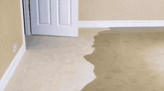 Advanced Slab Leak Detection: The Science and Technology Behind the Process