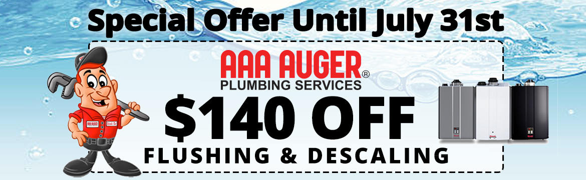 Special Offer for Flushing and Descaling Tankless Water Heater