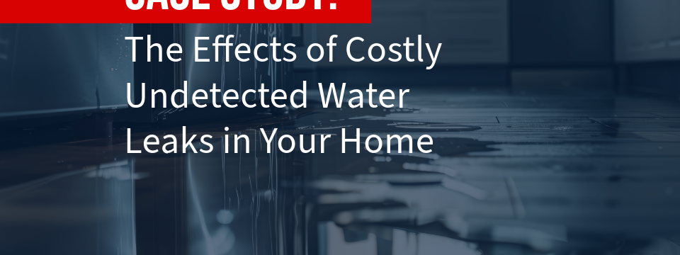 The Effects of Costly Undetected Water Leaks in Your Home